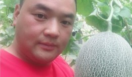 每日吃瓜播报免费,揭秘娱乐圈新鲜事，带你畅游八卦海洋